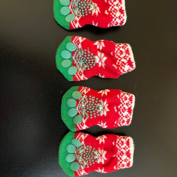 Dog accessories bundle - Picture 4 of 4